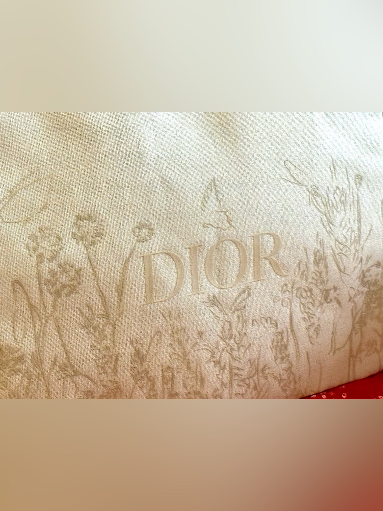 Dior Cream Embossed Floral Envelope Trousseau Bag Large Size
